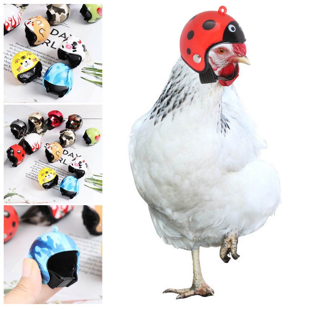 Pet X Supplies & Tack Photos - ABS Funny Pet Supplies Pet Protective