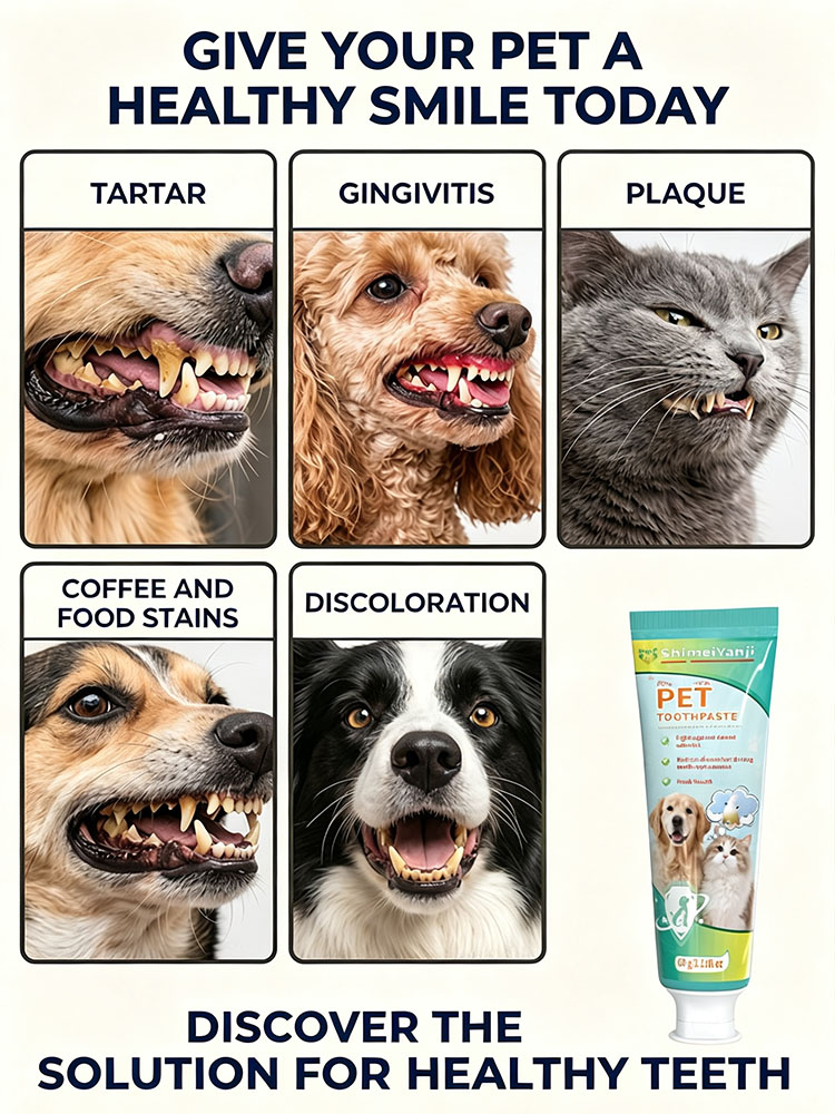 POZOAMIS Pet Teeth Cleaning To - Pet Supplies Young 评论和价格