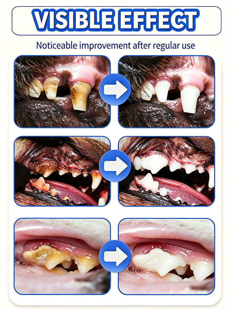 POZOAMIS Pet Teeth Cleaning To - Pet Supplies Young 评论和价格