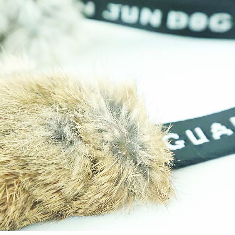 High-Quality Rabbit Skin Dog B - Pet Supplies Young 评论和价格