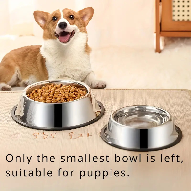 Non-slip Stainless Steel Dog B - Pet Supplies Dropshipping 评论和价格