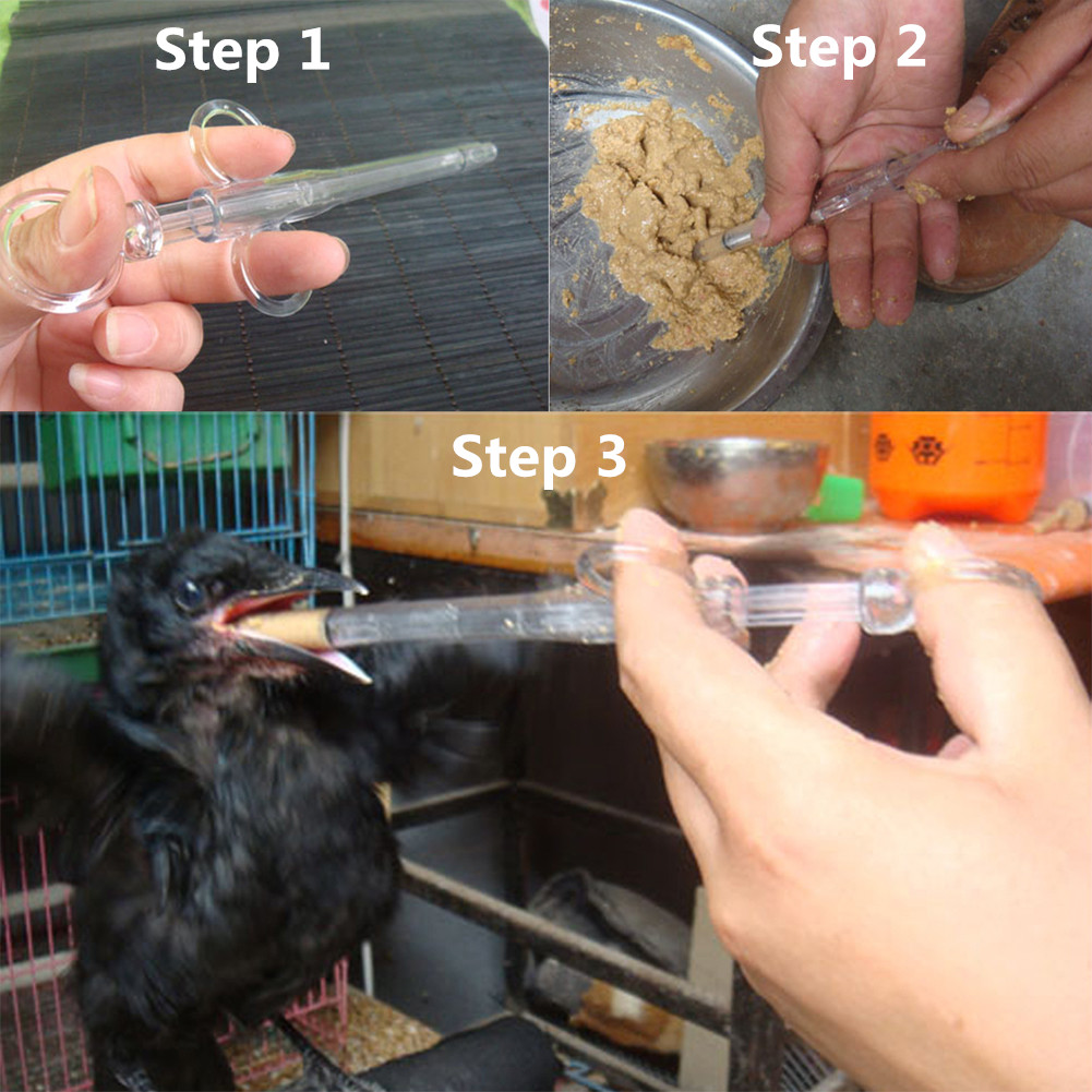Baby Bird Feeding Syringe Parr - Pet Supplies Young 评论和价格