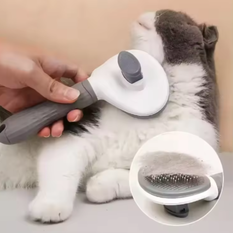 Summer Hot Self Cleaning Pet D - Pet Supplies Dropshipping 评论和价格