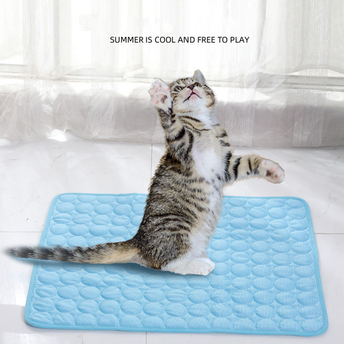 Pet Ice Mats Summer Cat Dog So - Dog Cooling Mat 评论和价格