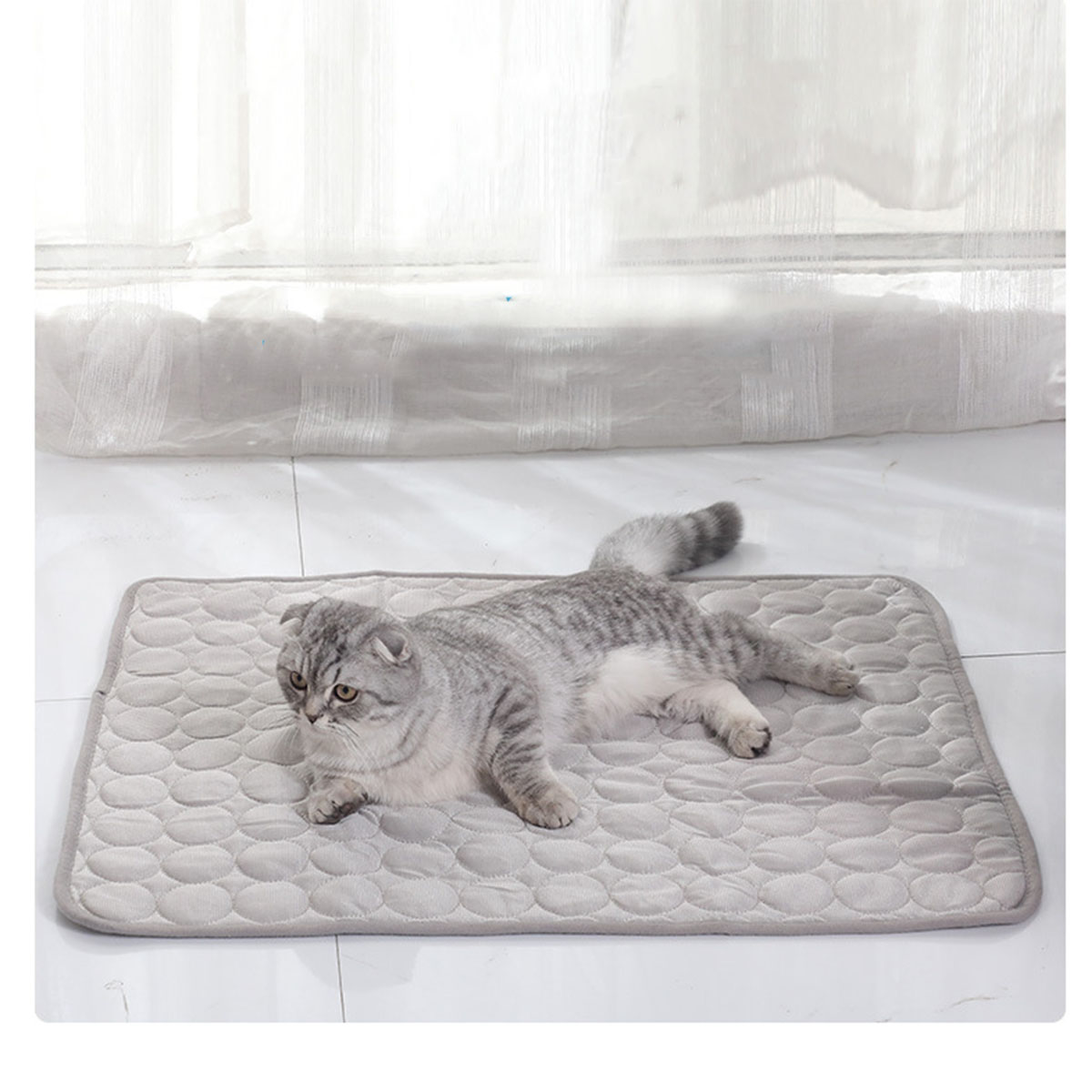 Pet Ice Mats Summer Cat Dog So - Dog Cooling Mat 评论和价格