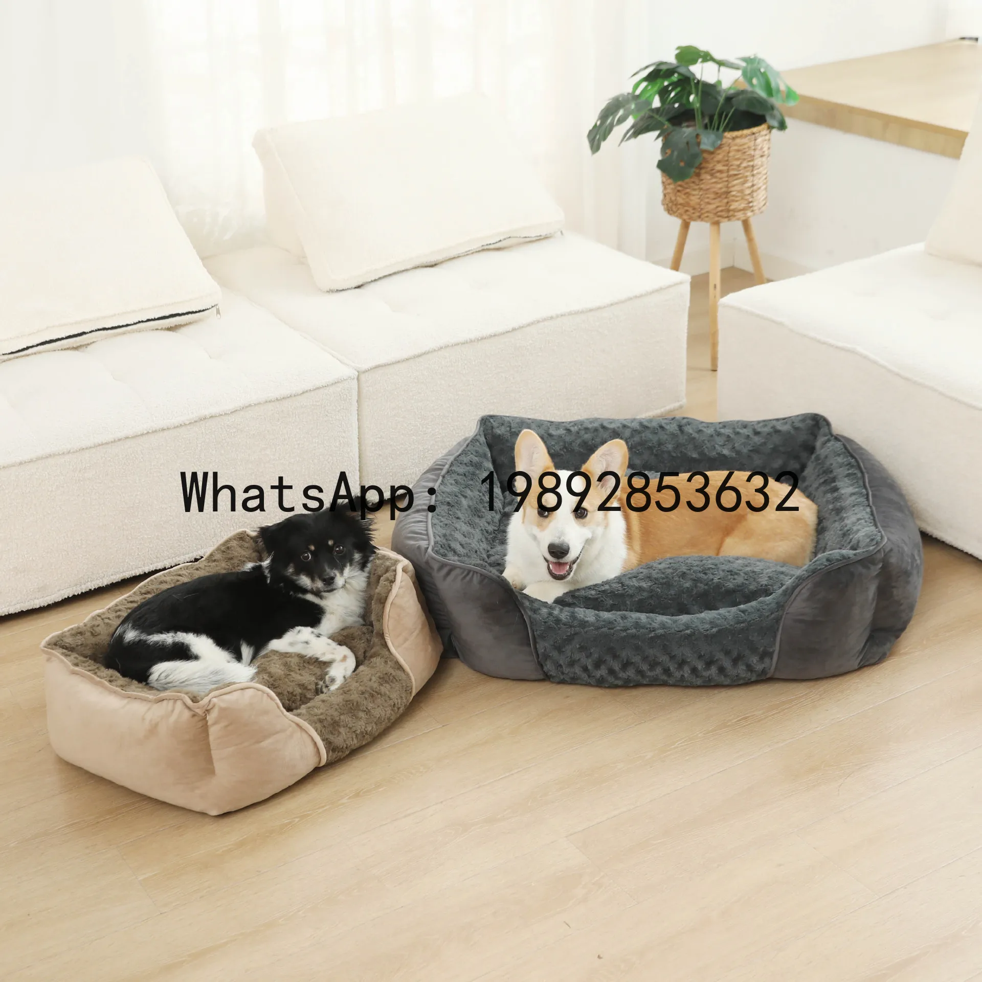 X cat house semi-enclosed dog  - Pet X Supplies & Tack Photos 评论和价格