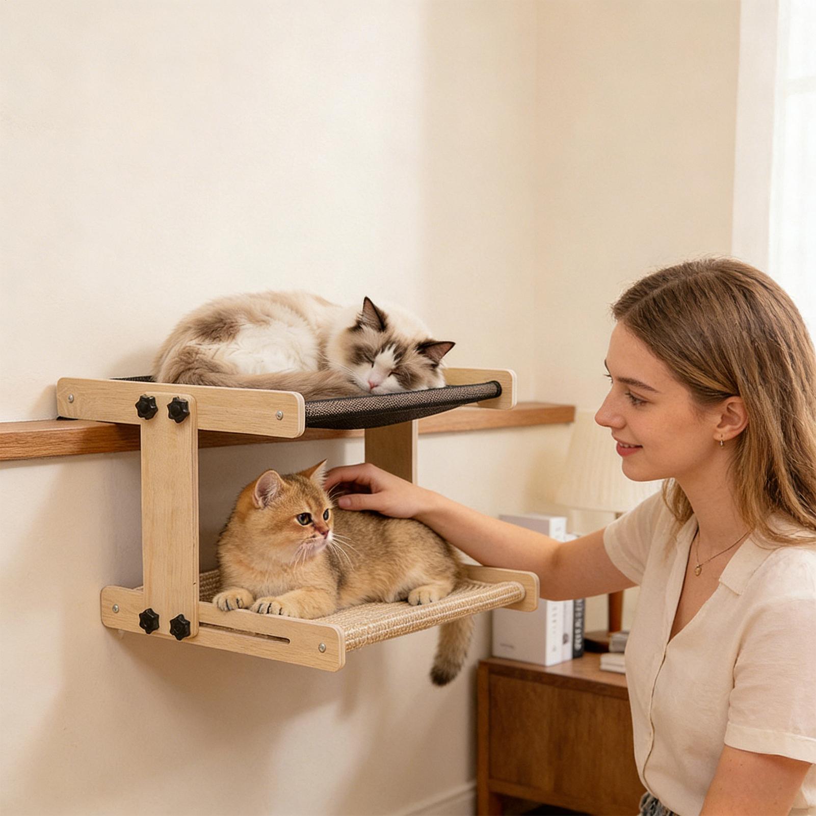 Cat Window Bed Floating Hammoc - Cat Window Perch 评论和价格