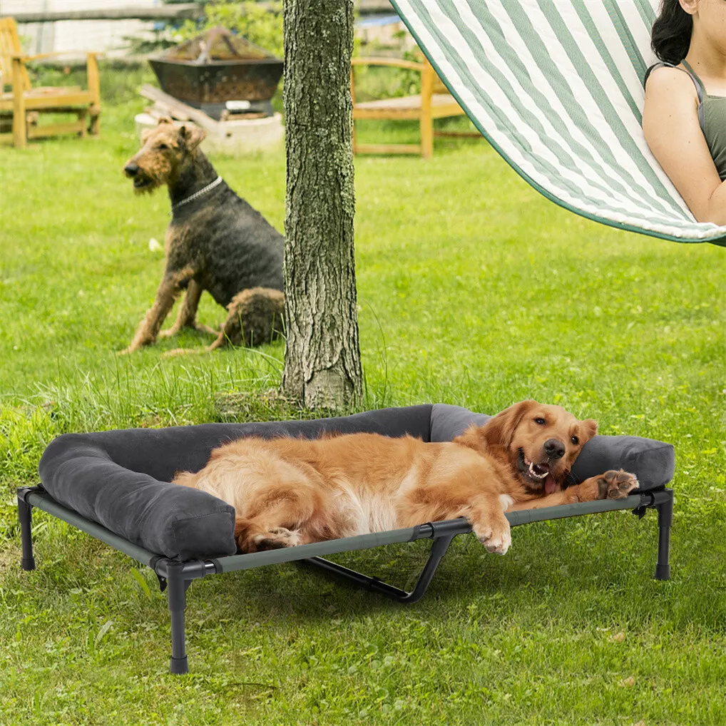 BINGOPAW Outdoor Dog Bed Eleva - Dog Cooling Mat 评论和价格