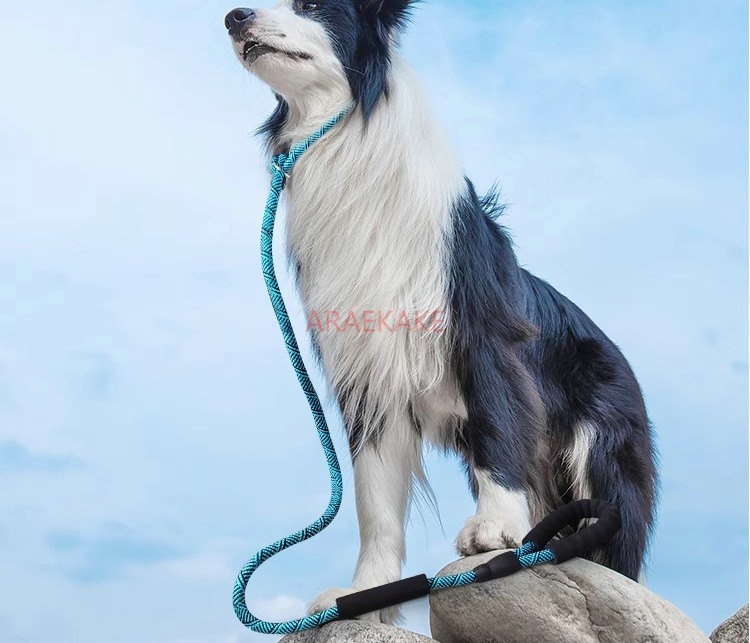P rope explosion-proof walking - Pet Supplies Young 评论和价格