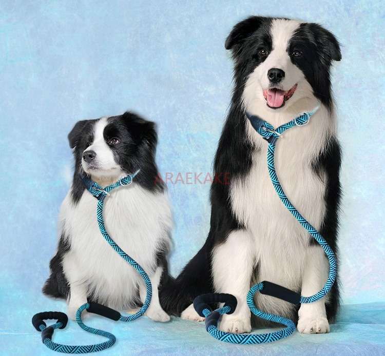 P rope explosion-proof walking - Pet Supplies Young 评论和价格