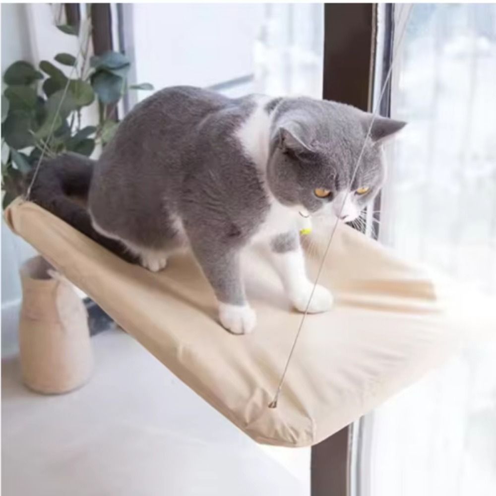 Multifunction Creative Cat Han - Cat Window Perch 评论和价格