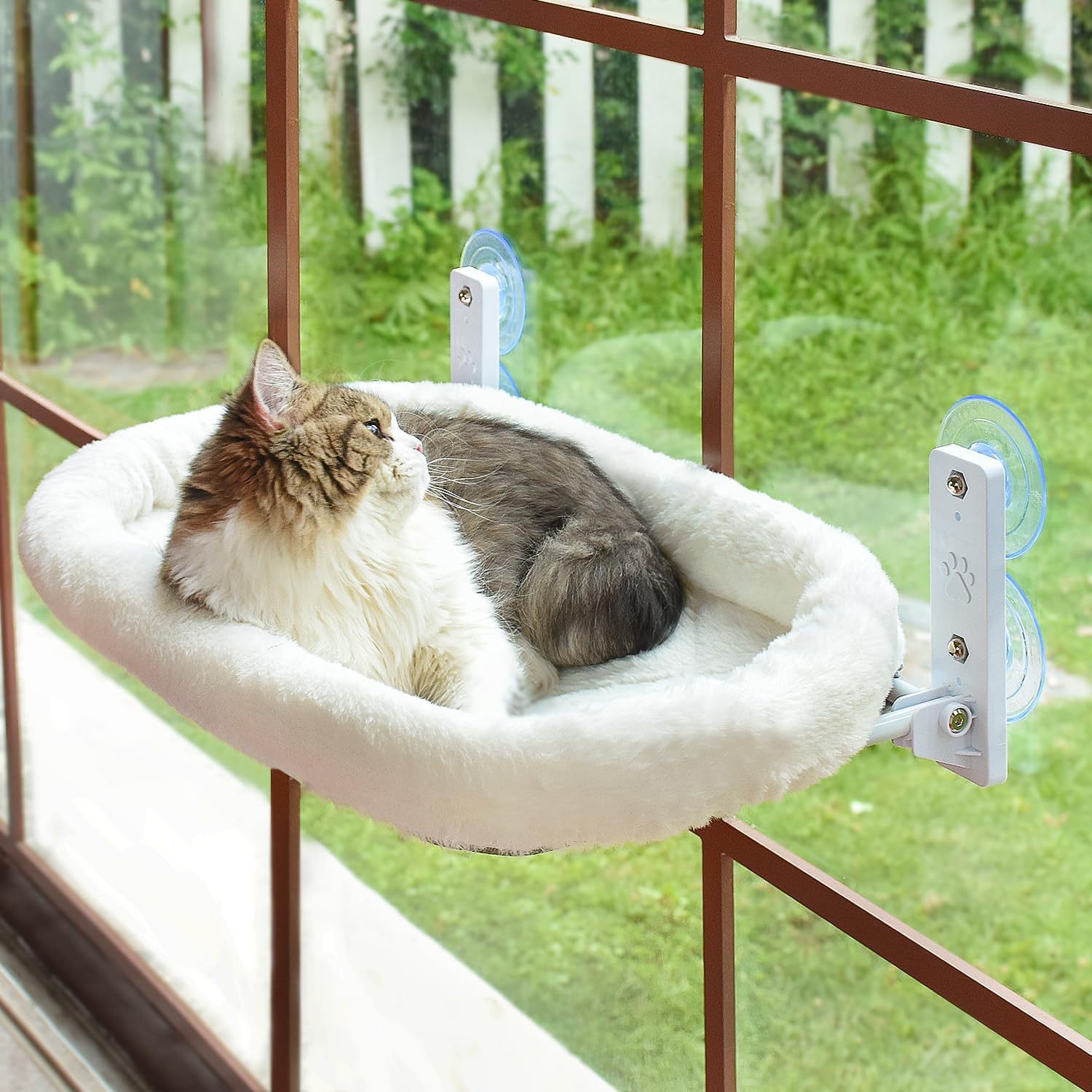 Cat Window Hammock Suction Cup - Cat Window Perch 评论和价格