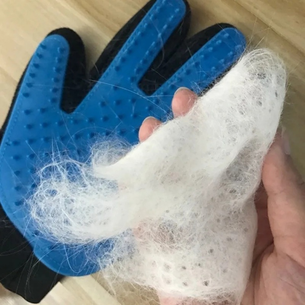 Pet Cat Dog Grooming Gloves Ca - Pet Supplies Dropshipping 评论和价格