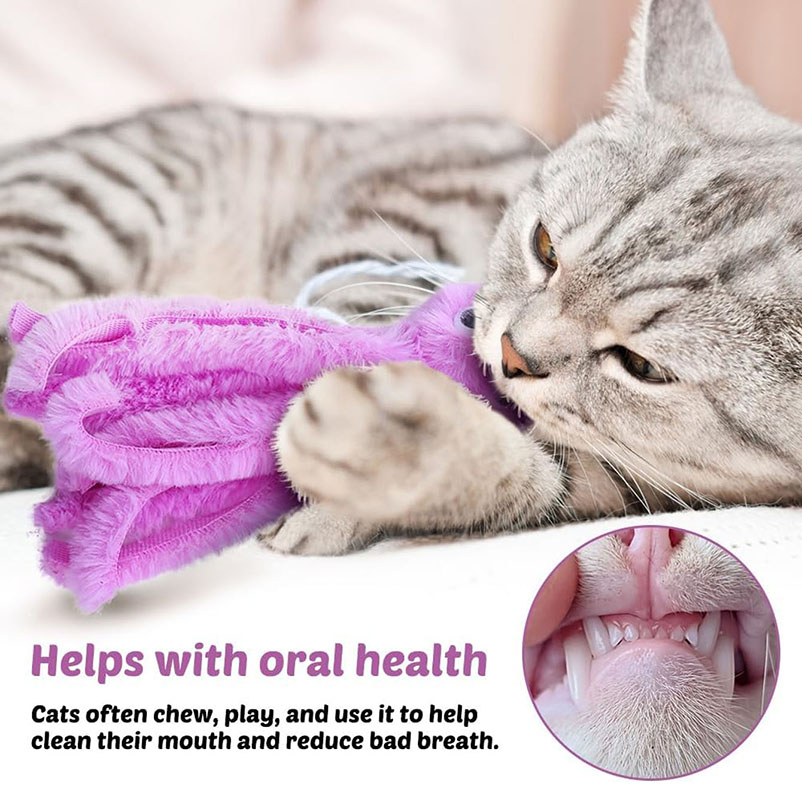 Cute octopus cat toys for kitt - Pet Supplies Young 评论和价格