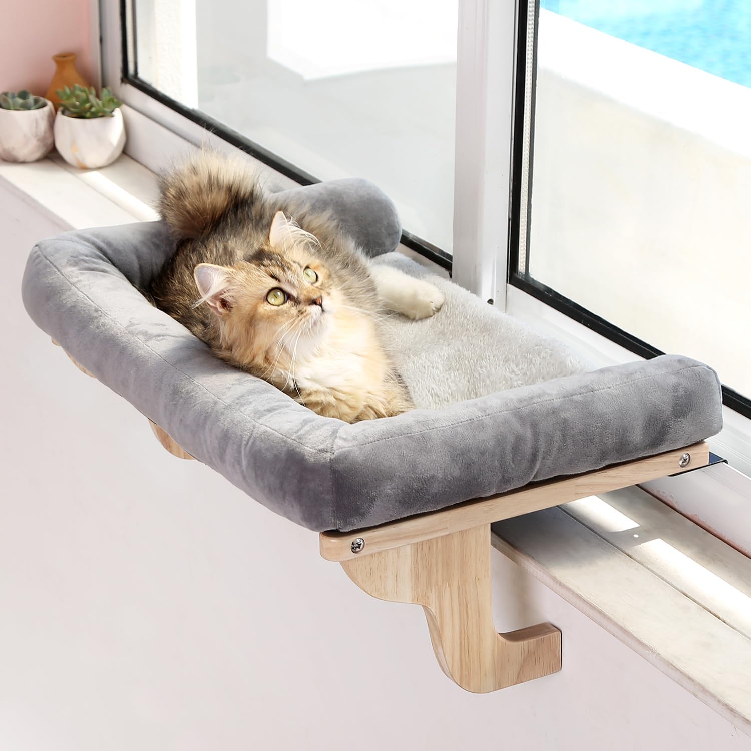 Cat Perch for Window Sill with - Cat Window Perch 评论和价格
