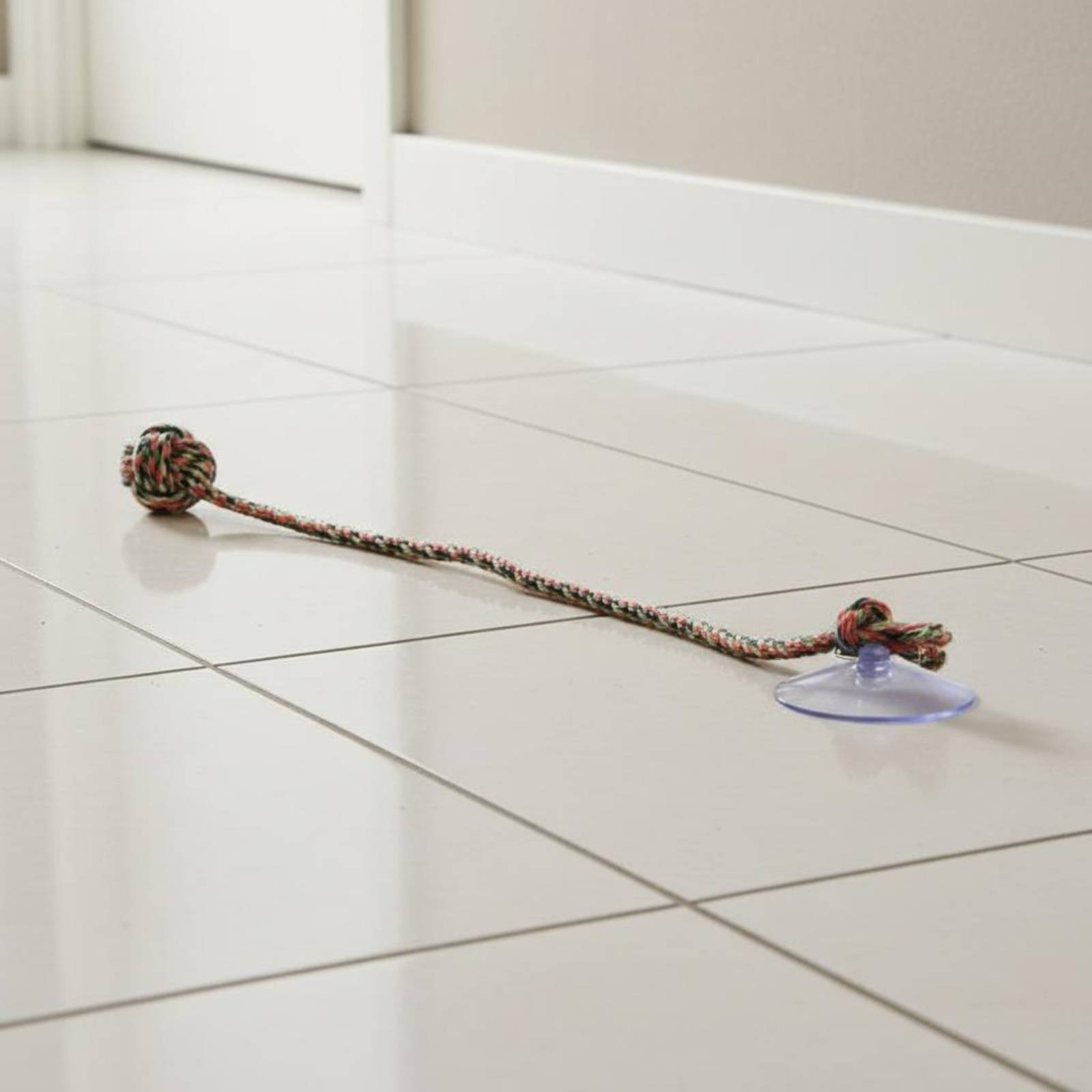 Suction Disc Dog Toy Gnaw Resi - Pet Supplies Young 评论和价格