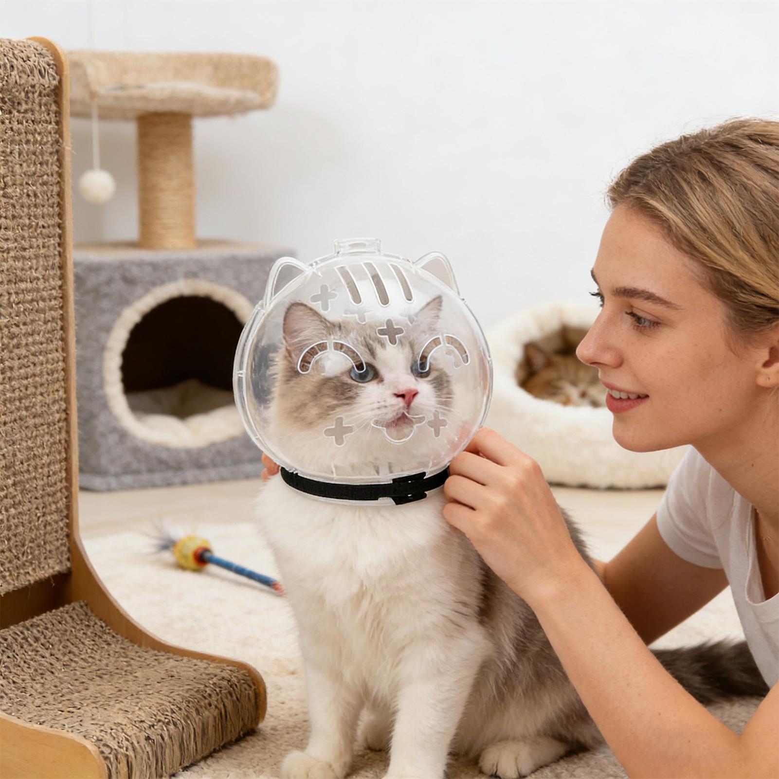 Breathable Cat Muzzle Transpar - Pet Supplies Young 评论和价格