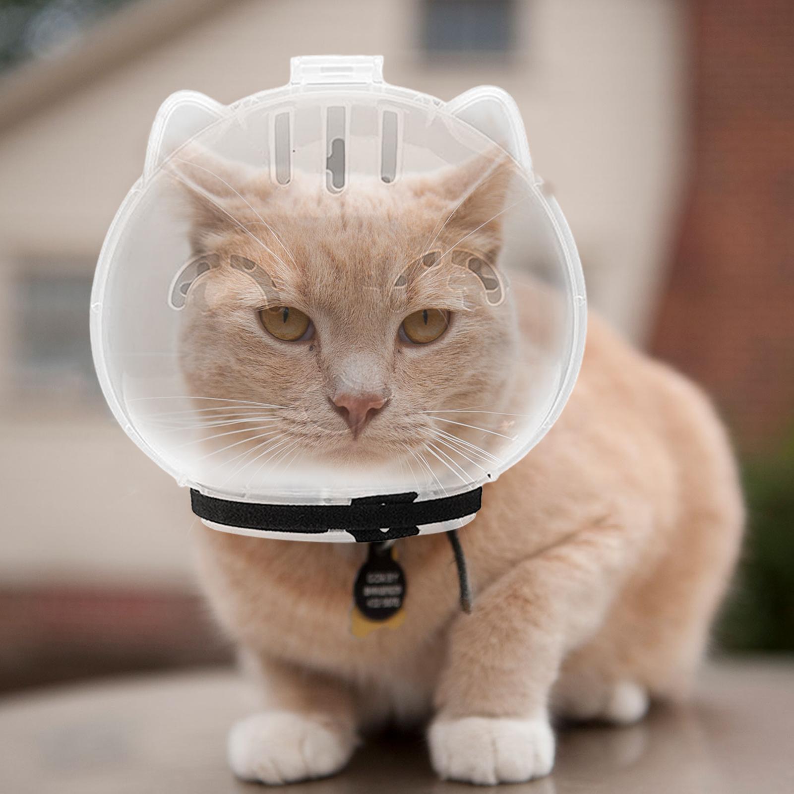 Breathable Cat Muzzle Transpar - Pet Supplies Young 评论和价格