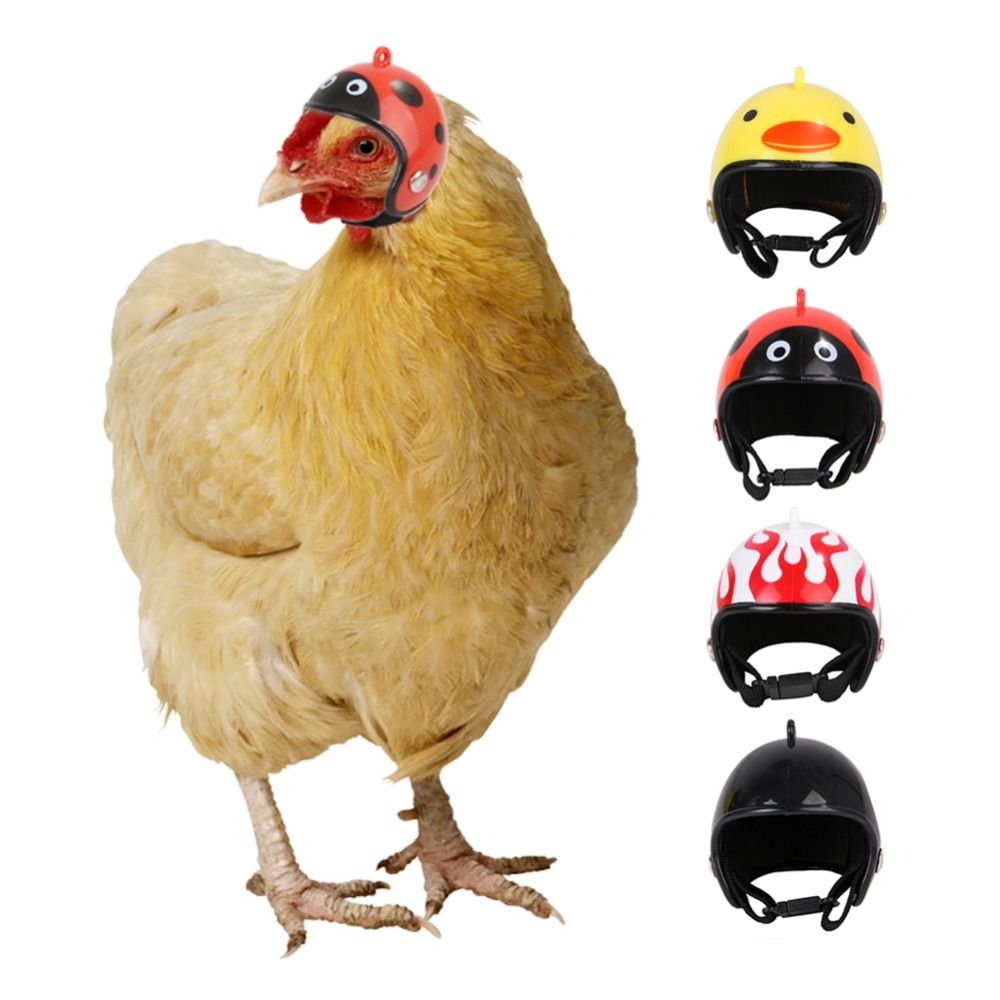 ABS Pet Supplies Funny Pet Pro - Pet X Supplies & Tack Photos 评论和价格
