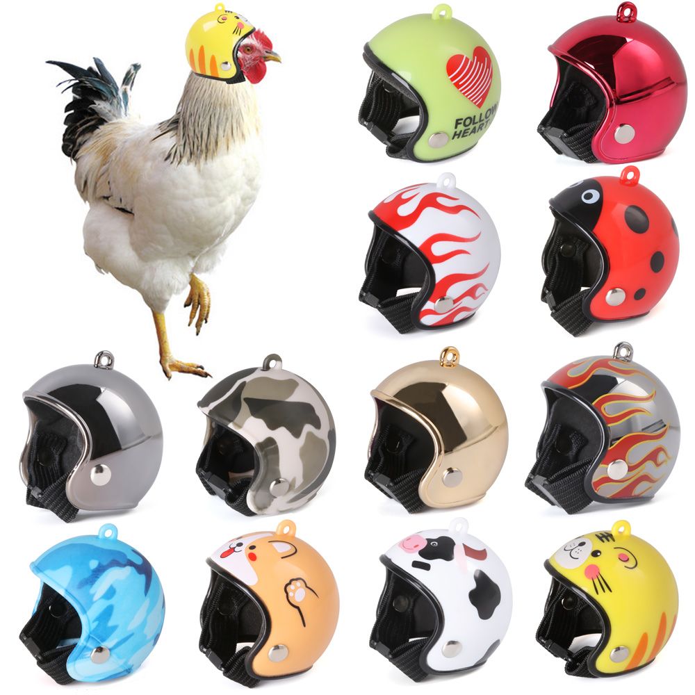 ABS Pet Supplies Funny Pet Pro - Pet X Supplies & Tack Photos 评论和价格