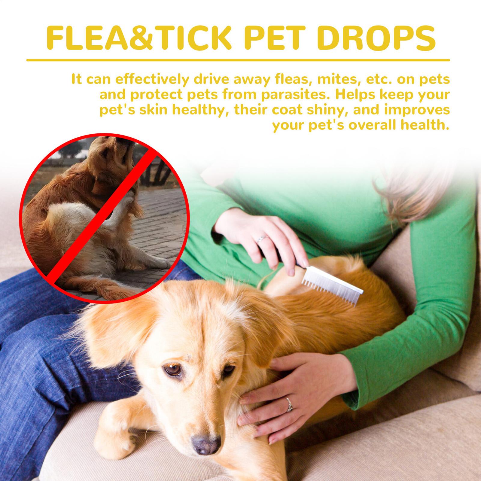 Cat Anti Flea Drops Flea Lice  - Pet Supplies Dropshipping 评论和价格